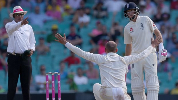 Form spinner: If Joe Root could have his pick of one Australian, Nathan Lyon might be his surprise choice.