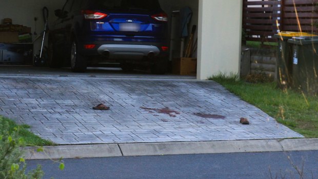 The horrific events left the driveway stained with blood.