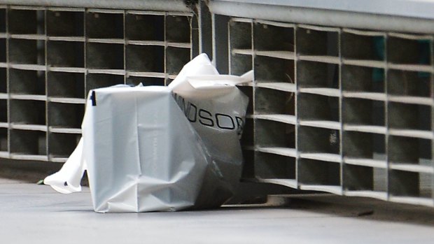 A plastic bag that appears to be a Windsor Smith bag.