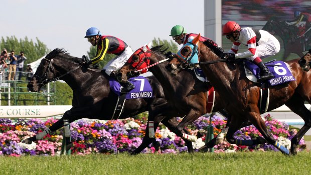 Possible talent for next year’s spring carnival: Fenomeno racing in Japan.
