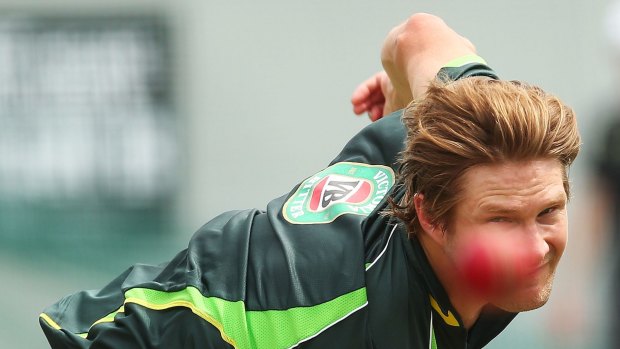 Steady aim: Shane Watson is determined to be Test ready this summer.