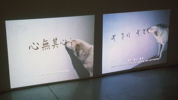 A still from Peng Hung-chih's video series Canine Monk.