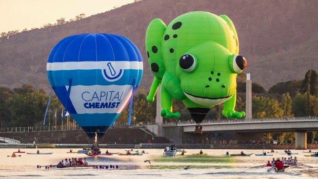 Local photographer Adrian Kelson took this great shot of Kerbi the frog and the Capital Chemist balloon close to the lake during this year's Balloon Spectacular.