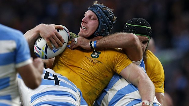 Handful: David Pocock was again masterful for the Wallabies.