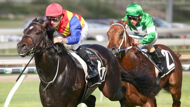 Perfect return: Corey Brown rides Pierata to win the Winning Rupert Plate on the George Moore Stakes Day at Doomben.