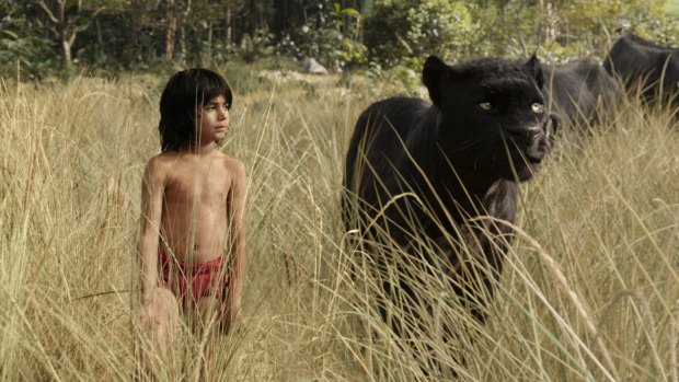 Neel Sethi as Mowgli with Bagheera, voiced by Ben Kingsley, in <i>The Jungle Book</i>.