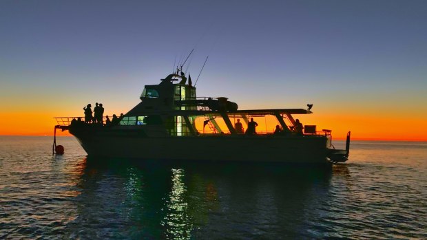 Broome Cruises runs its "Sunset, Seafood and Pearling Cruise" from May to September. 