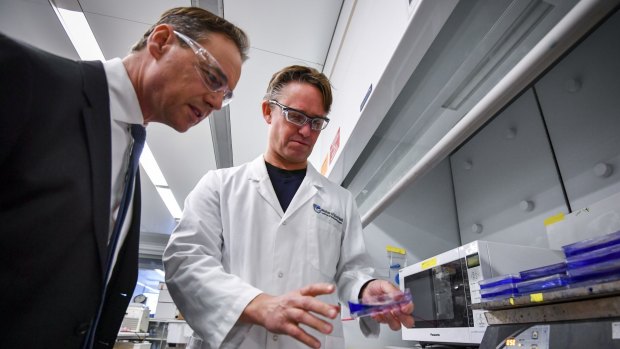 Greg Hunt with Dr Peter Czabotar at the launch of the Turnbull government's $500 million Biomedical Translation Fund at the Walter and Eliza Hall Institute of Medical Research on Wednesday. 