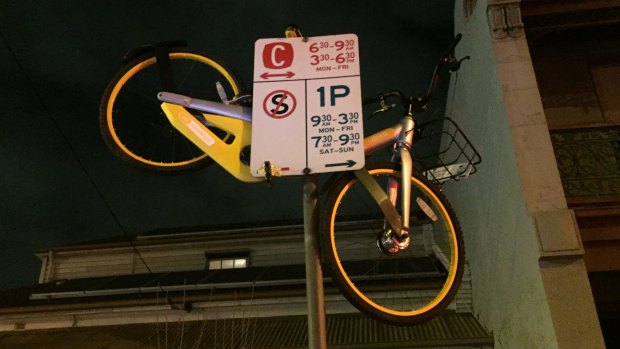 oBikes have been found in all sorts of places.