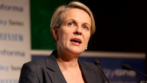 Labor's Tanya Plibersek did not help the cause or her own credibility.