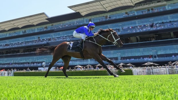 Perfect power: Hugh Bowman shows Winx off to the the public at Randwick on Saturday  