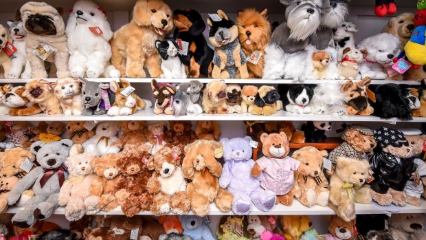 The stuffed toys are among friends in their neat shelves.