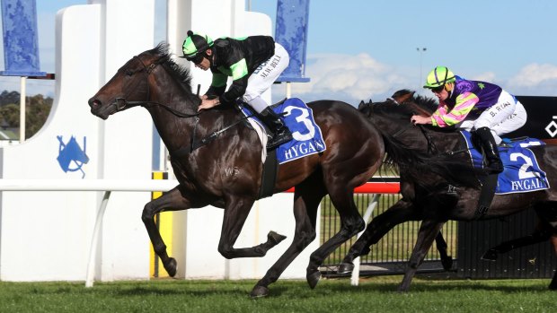 Colour me successful: The Grandson wins in the Proven Thoroughbreds silks at Kembla Grange.