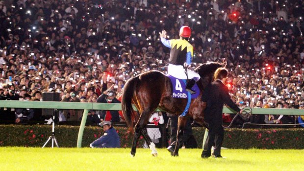 Superstar sire: Deep Impact farewells the fans in 2006.