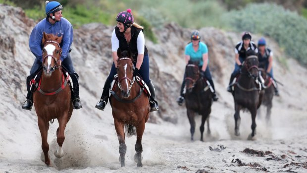 Darren Weir's horses training on a beach near Warrnambool.