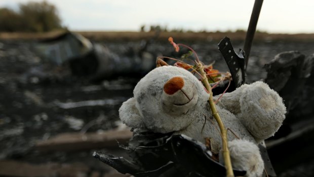 A teddy bear among the debris of flight MH17 at the crash site outside the Ukrainian village of Grabovka in 2014.