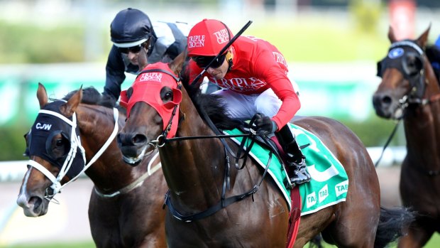 Everest contender: Redzel races away with the Hall Mark Stakes at Randwick in the autumn.