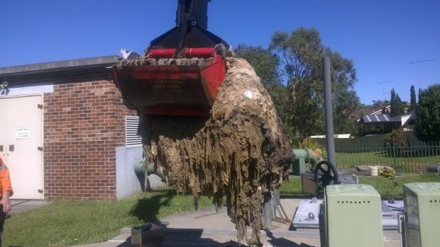 Sydney Water workers clean out a blockage of wet wipes also known as a fatberg. 
