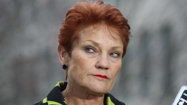 Senator Pauline Hanson believes children with autism should be removed from mainstream classrooms.