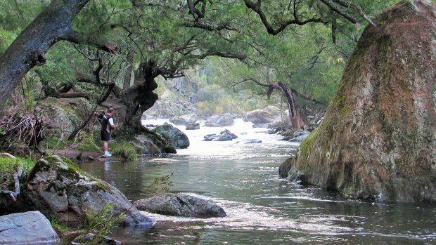 According to Dr Fiona Dyer, areas where vegetation provides shade over the water like at Flea Creek in the Brindabellas and are ideal places for cooling off during our current heatwave. 
