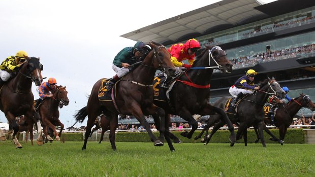 Jim Cassidy (red cap) rides Dissident to win the All Aged Stakes at Randwick.