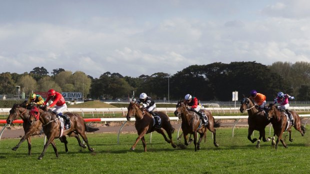 Canberra gelding Fell Swoop, far right, finished sixth behind Redzel in The Shorts.