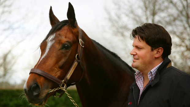 Star stallion: Dundeel, who won six group 1 races before retiring to stud, with Arrowfield Stud manager Paul Messara.