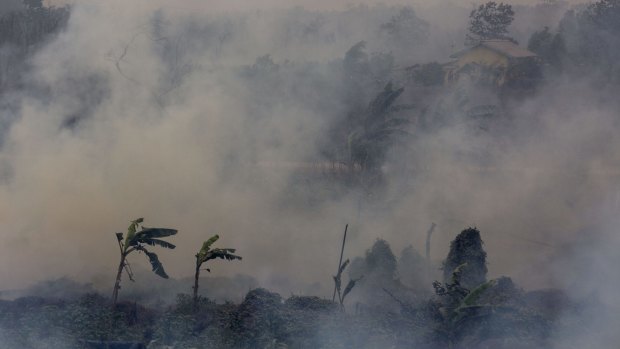 Indonesian fires, made worse by last year's El Nino, are partly to blame for a jump in global greenhouse gas levels.