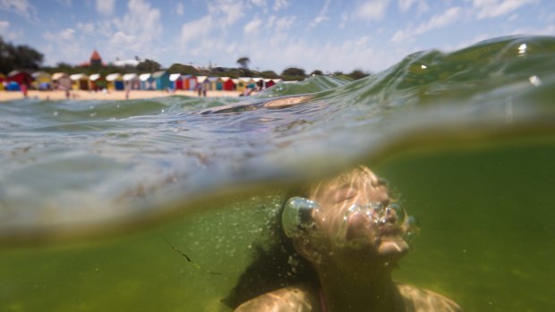 Brighton Beach was one of the beaches to record consistently good water quality.