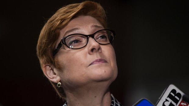 Defence Minister Marise Payne holds a press conference in Sydney after Indonesia ceased all military operations with Australia.