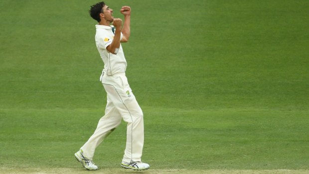 Mitchell Starc has been a world-leading wicket-taker in international cricket this year. 