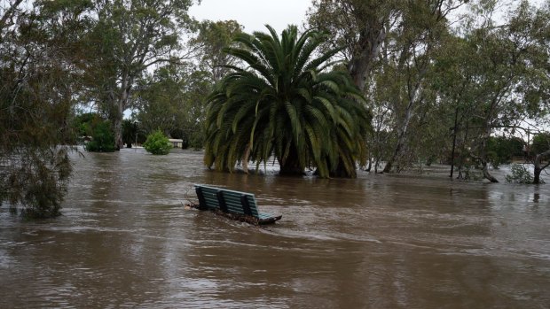 Euroa's park is underwater. 