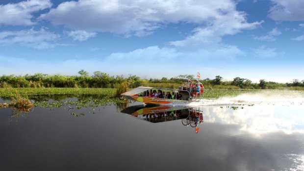 Join an exhilarating airboat ride at Everglades Holiday Park near Fort Lauderdale.