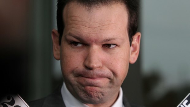 Senator Matt Canavan said his mother had raised with him last week the possibility he was a dual citizen.