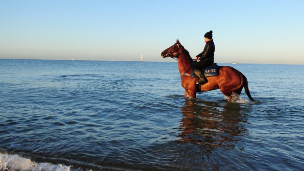 In deep water?: Caulfield Cup winner Jameka has her critics leading into Tuesday's Melbourne Cup.