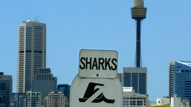 'It looks like an invitation for shonks and sharks to come out and put consumers at risk.'