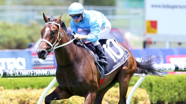 'Smashing filly': Glyn Schofield rides From Within to take out the TAB Plate.