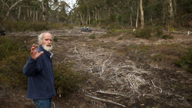 Chris Jonkers of the Lithgow Environment Group says the East Wolgan swamp is among the upland swamps damaged by the Springvale coal mine.