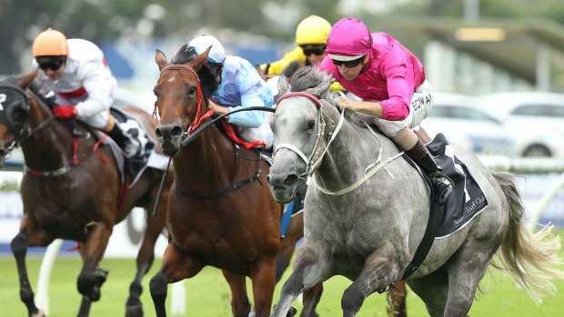 Classy: Hugh Bowman rides Catkins to victory in the Millie Fox Stakes at Rosehill.