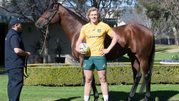 Horse lover: Wallabies back-rower Ned Hanigan pictured with American Pharoah, the 2015 US triple crown winner, at the Coolmore Stud. 