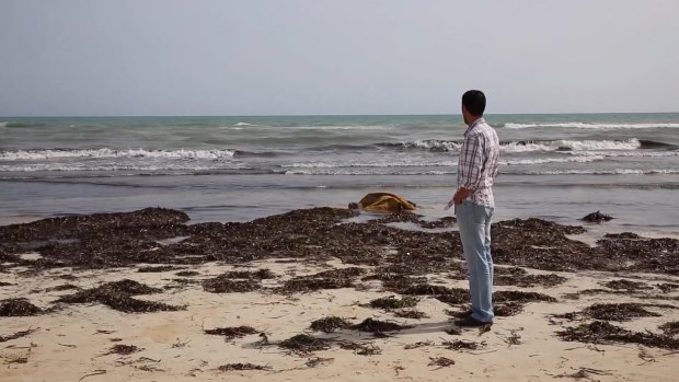 A local Zwara resident stands near the body of a victim, as more than 100 bodies are pulled from the sea on Friday.