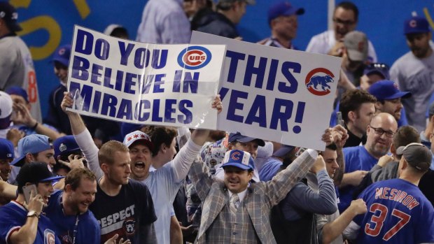 Long hibernation over, Cubs fans celebrate the series win.