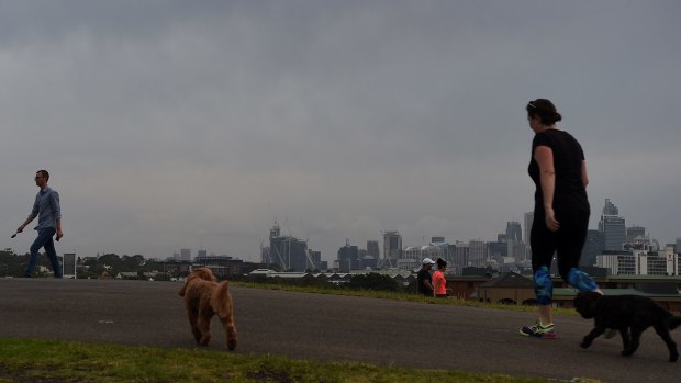 People exercise and walk their dogs during a dry spell at Sydney Park.