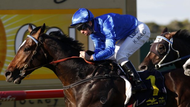 Strong Guineas chance: Godolphin is hoping Sweynesse can deliver at Randwick.