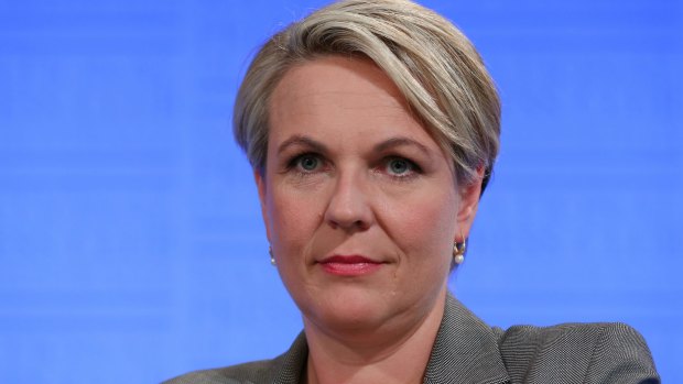 Tanya Plibersek has accused the Coalition of gutting Australia's aid program.