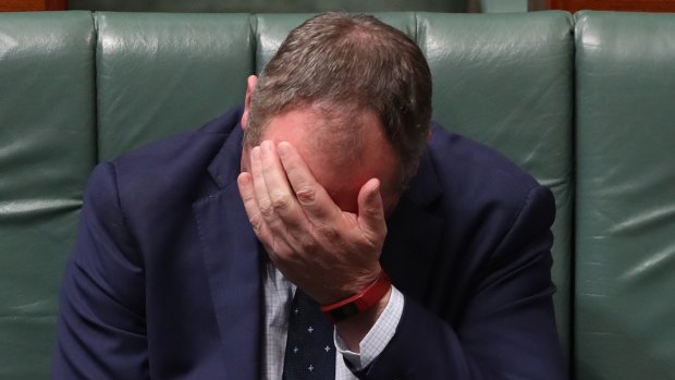 Deputy Prime Minister Barnaby Joyce during question time on Thursday.