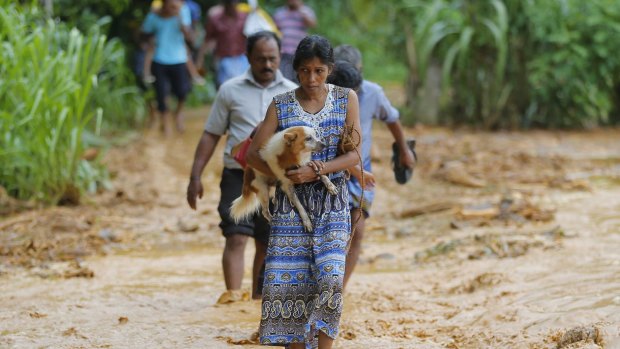A Sri Lankan landslide survivor carries her dog over the mud in Elangipitiya village on Wednesday. 