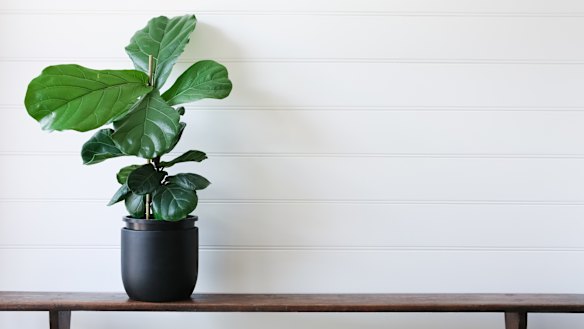 Small changes can make a big difference to employee wellbeing.