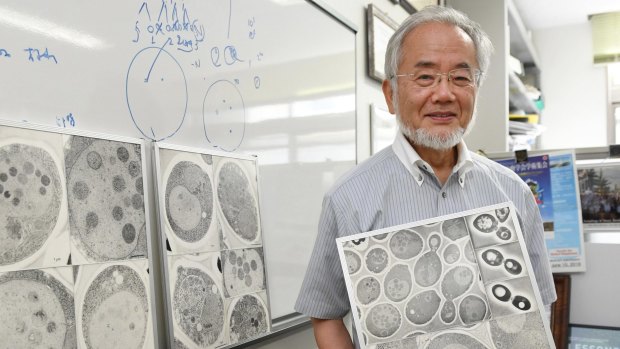 Nobel prize winner: Japanese scientist Yoshinori Ohsumi at the Tokyo Institute of Technology.