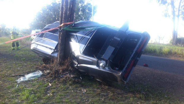 A Shelby GT muscle car hit a tree on the Sunshine Coast, injuring three people.